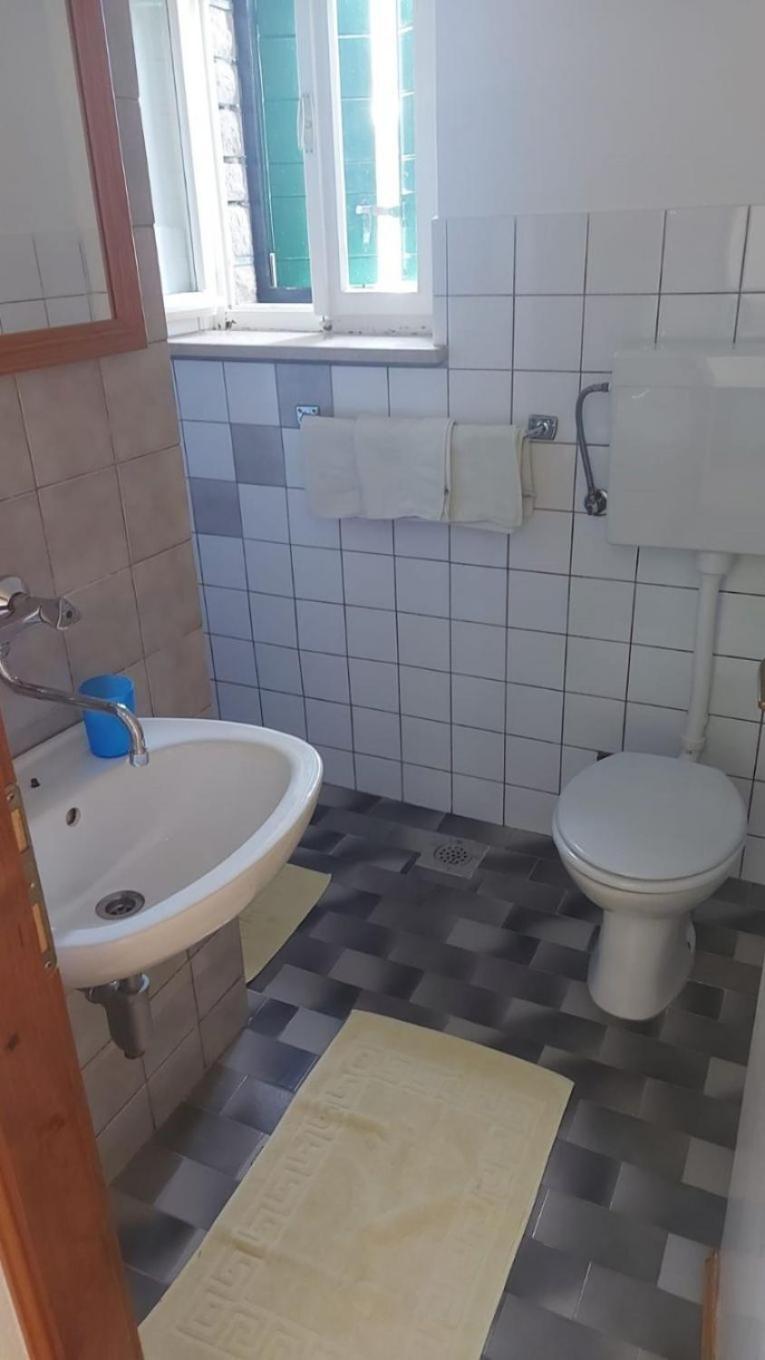 Brane Apartment Bol