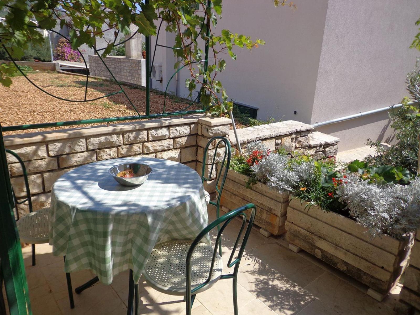 Brane Apartment